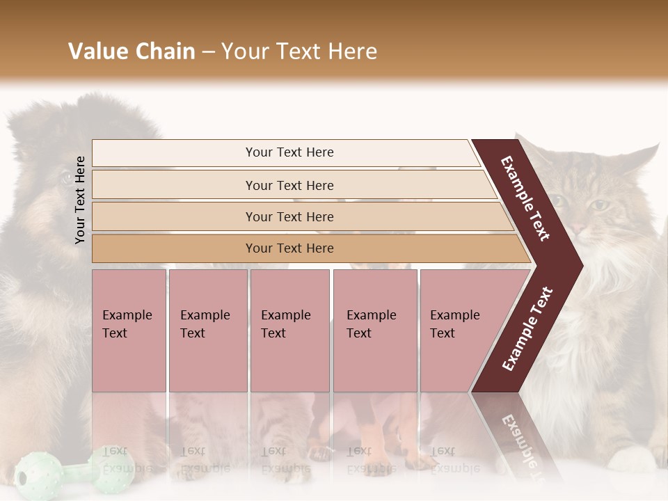 Mops Breed Dog PowerPoint Template