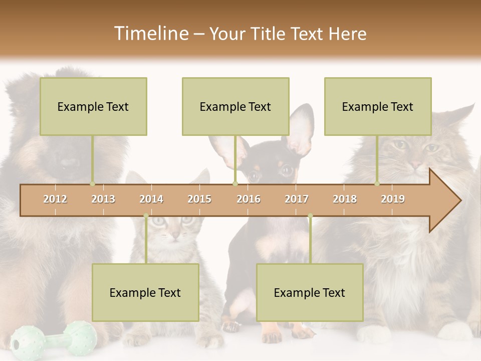 Mops Breed Dog PowerPoint Template