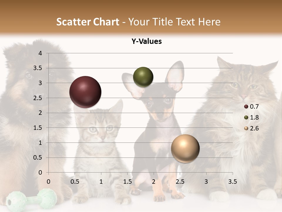 Mops Breed Dog PowerPoint Template