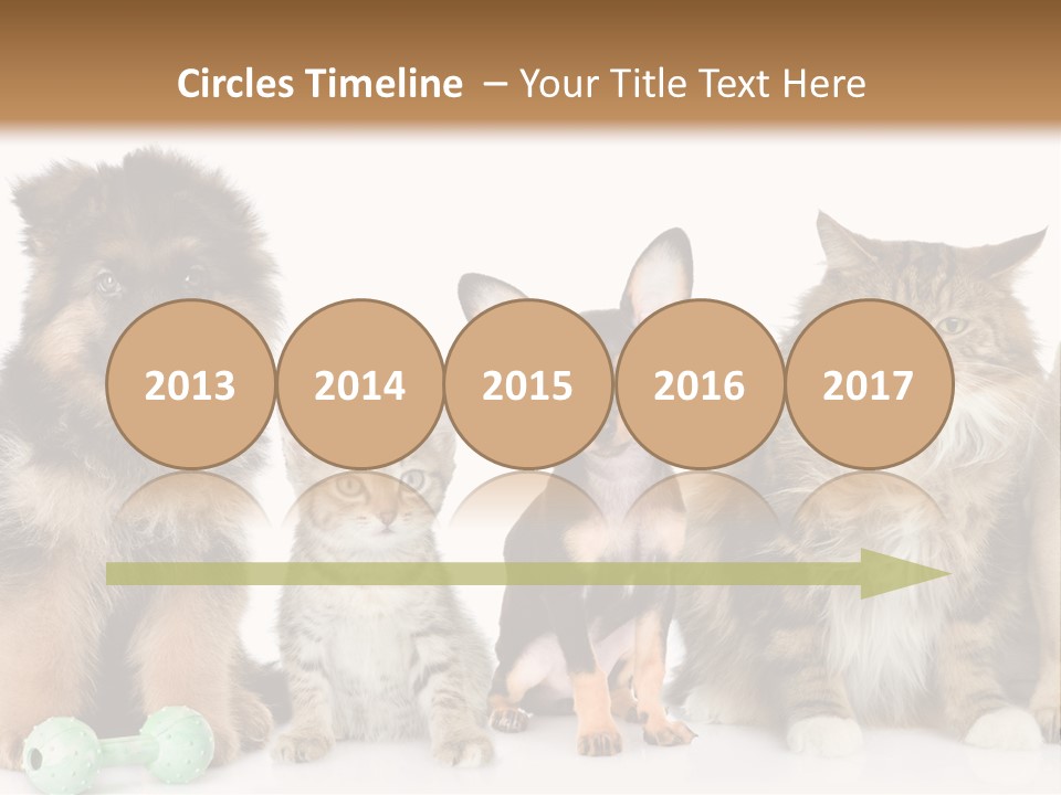 Mops Breed Dog PowerPoint Template