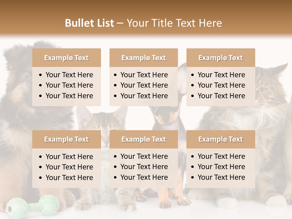 Mops Breed Dog PowerPoint Template