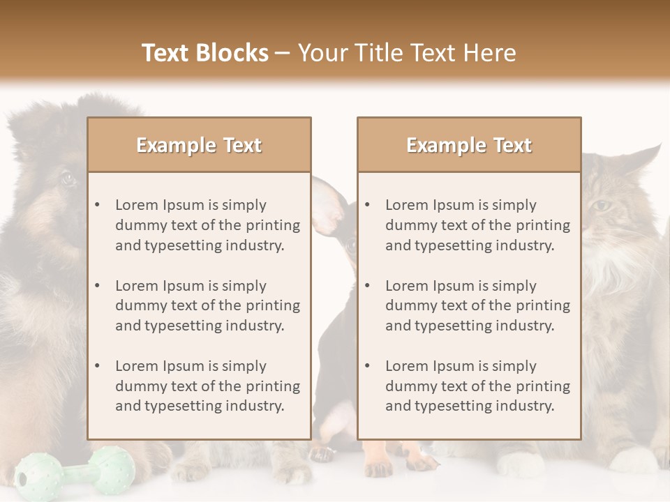 Mops Breed Dog PowerPoint Template