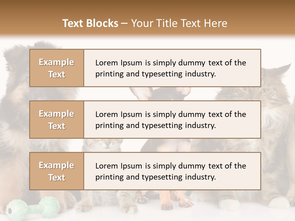 Mops Breed Dog PowerPoint Template