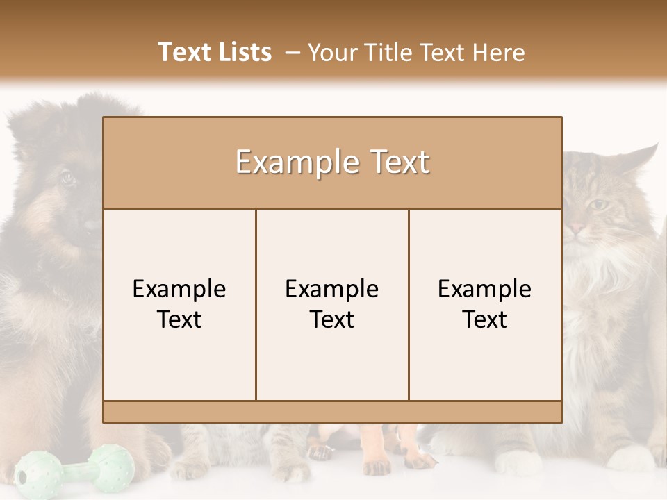 Mops Breed Dog PowerPoint Template