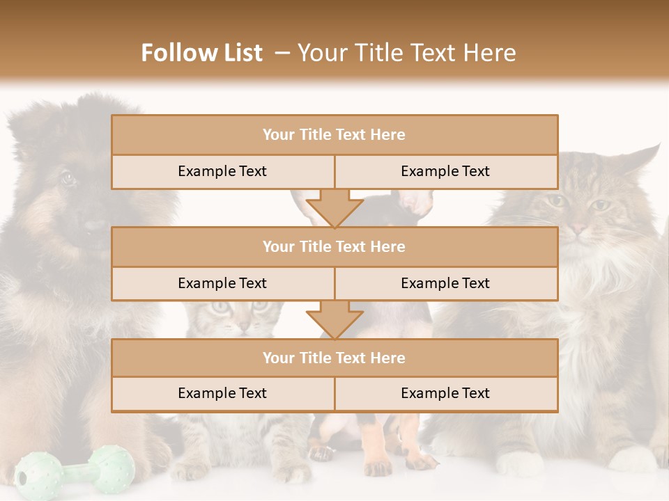 Mops Breed Dog PowerPoint Template