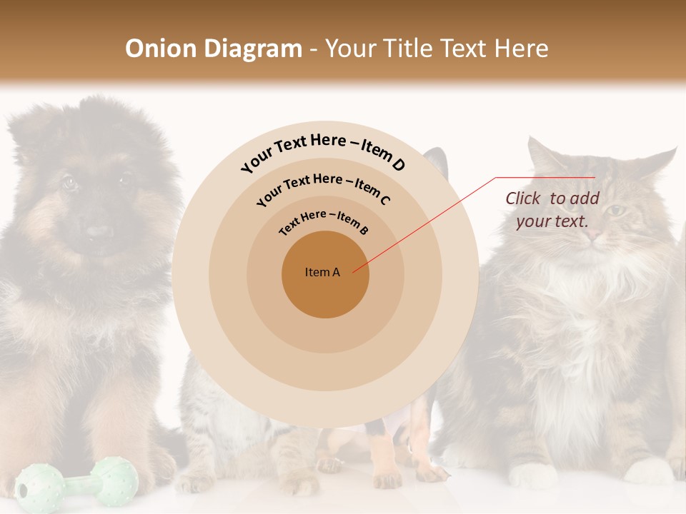 Mops Breed Dog PowerPoint Template