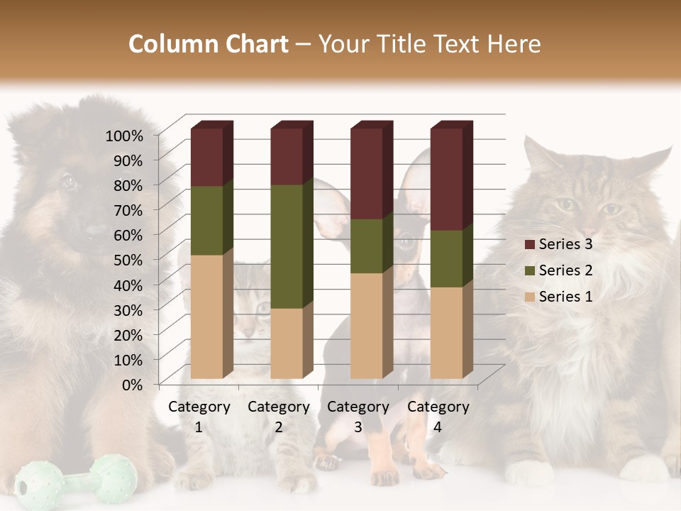 Mops Breed Dog PowerPoint Template