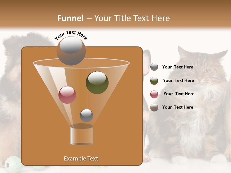 Mops Breed Dog PowerPoint Template