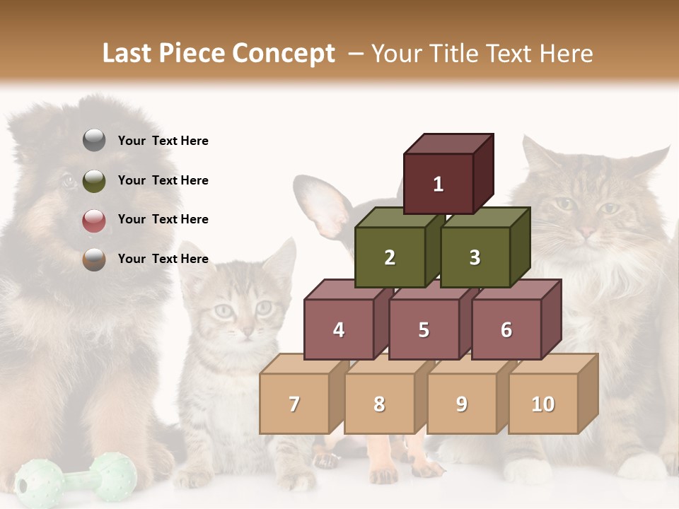 Mops Breed Dog PowerPoint Template