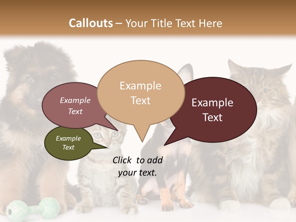 Mops Breed Dog PowerPoint Template