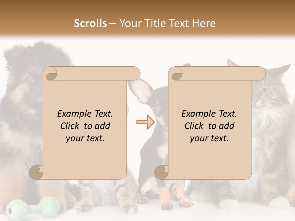 Mops Breed Dog PowerPoint Template