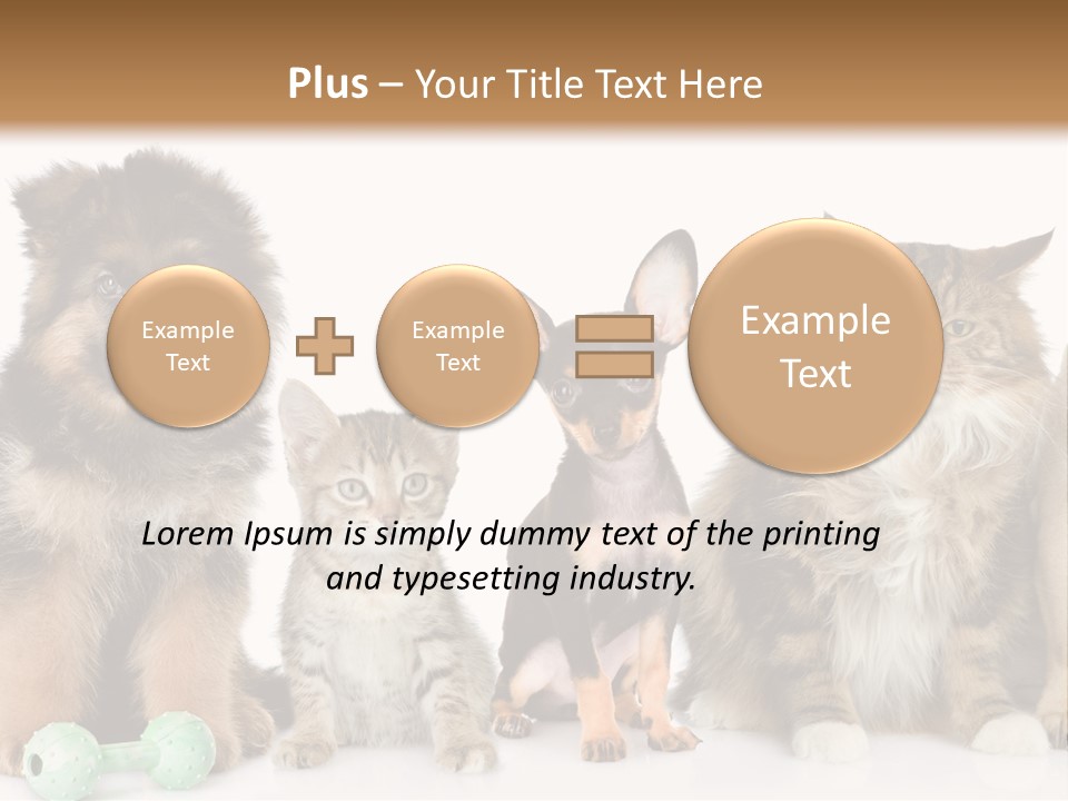 Mops Breed Dog PowerPoint Template