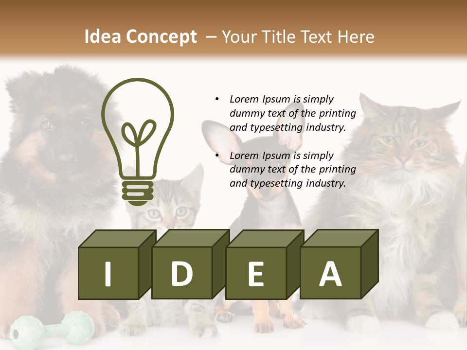 Mops Breed Dog PowerPoint Template