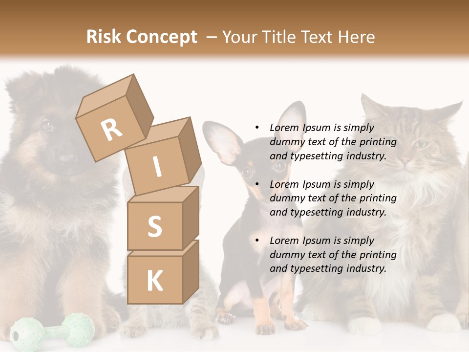 Mops Breed Dog PowerPoint Template