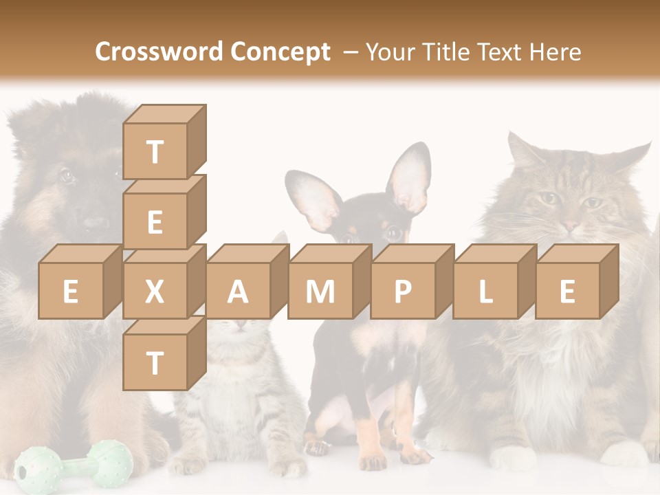 Mops Breed Dog PowerPoint Template