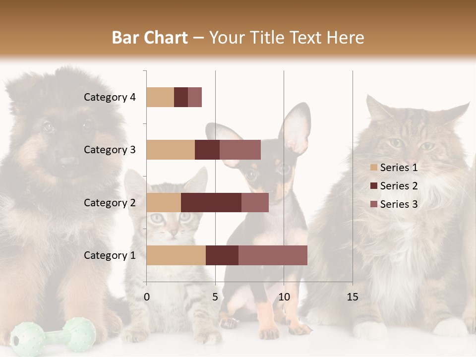 Mops Breed Dog PowerPoint Template