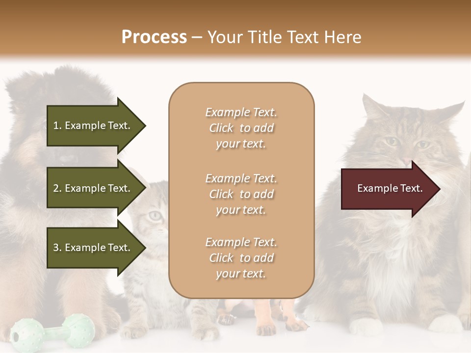 Mops Breed Dog PowerPoint Template