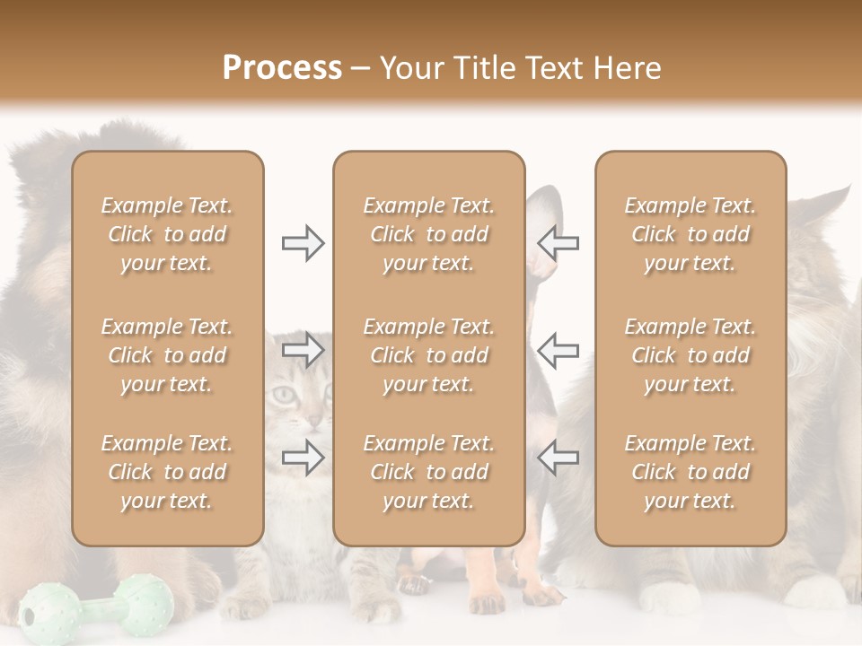 Mops Breed Dog PowerPoint Template