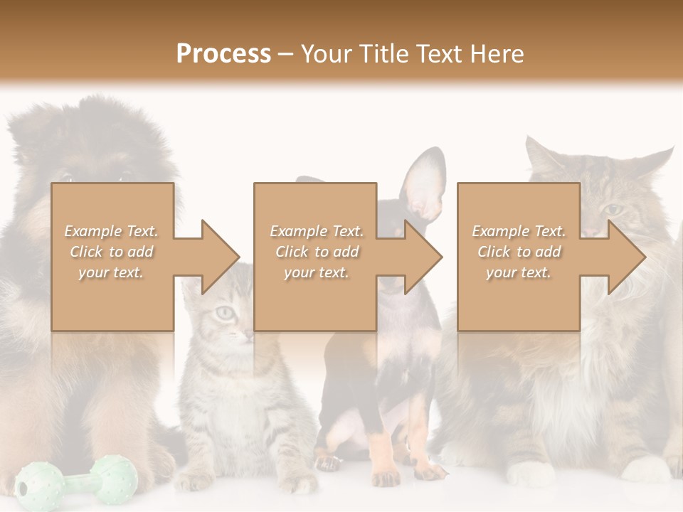 Mops Breed Dog PowerPoint Template
