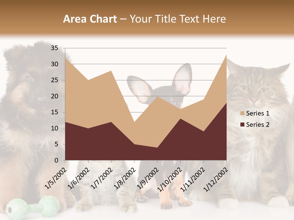 Mops Breed Dog PowerPoint Template