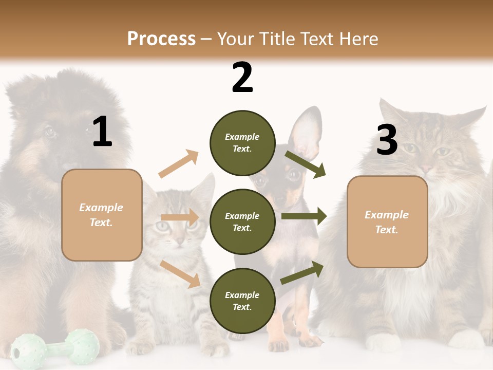 Mops Breed Dog PowerPoint Template