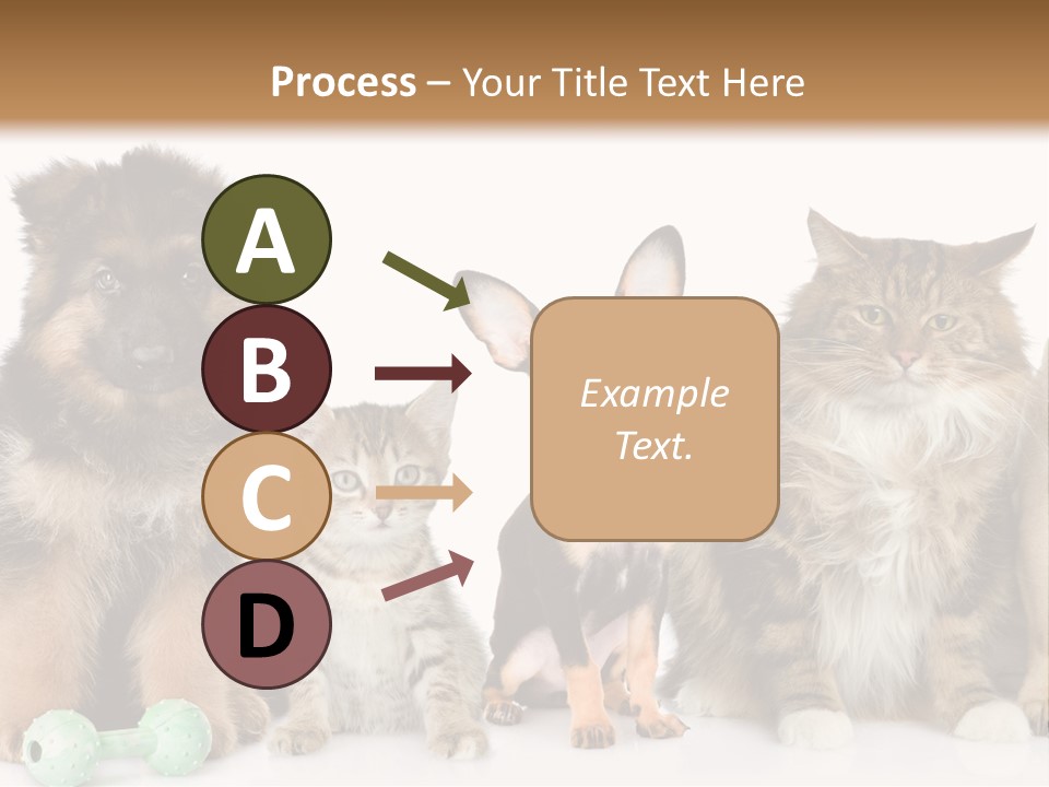 Mops Breed Dog PowerPoint Template