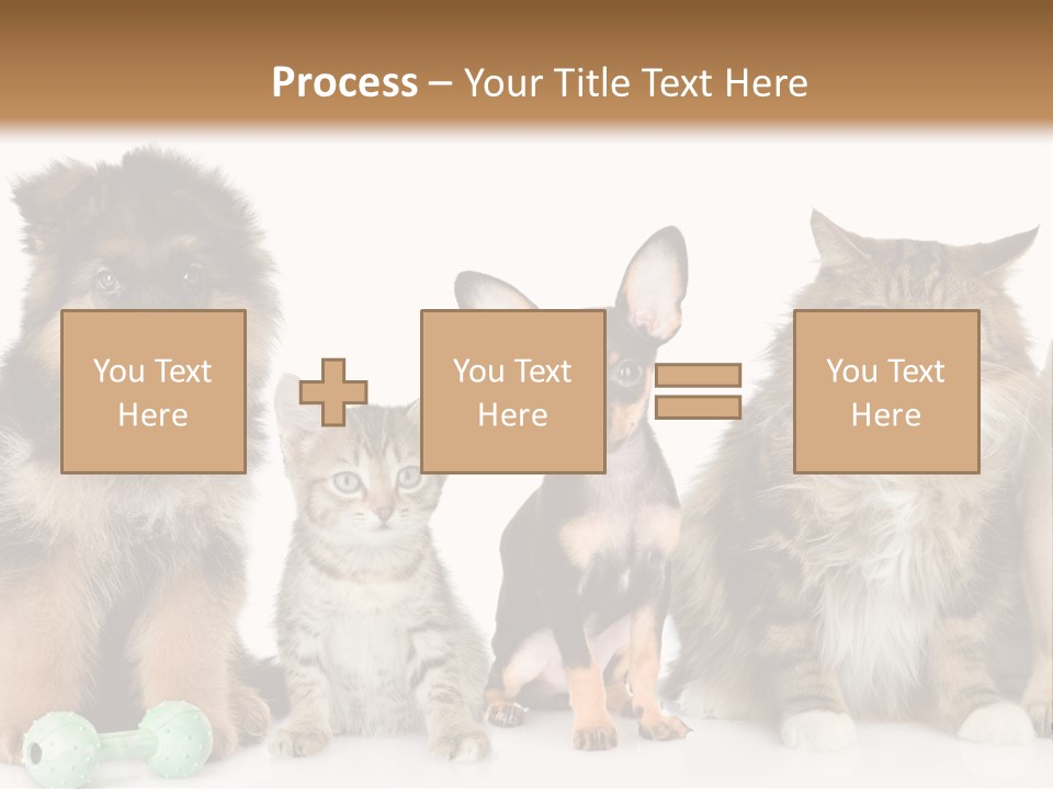 Mops Breed Dog PowerPoint Template