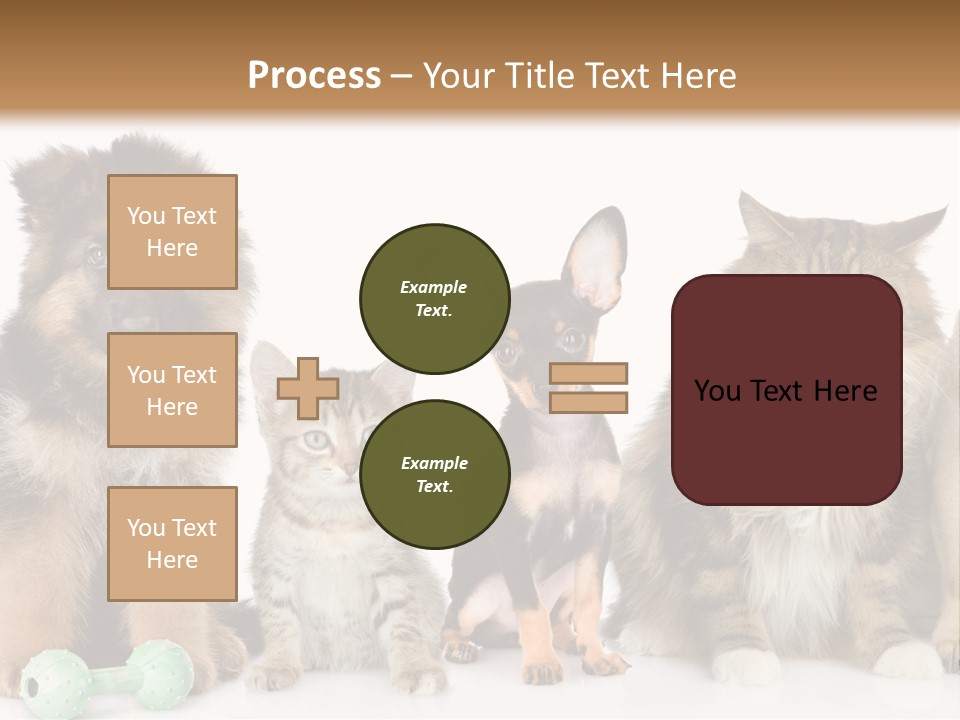Mops Breed Dog PowerPoint Template