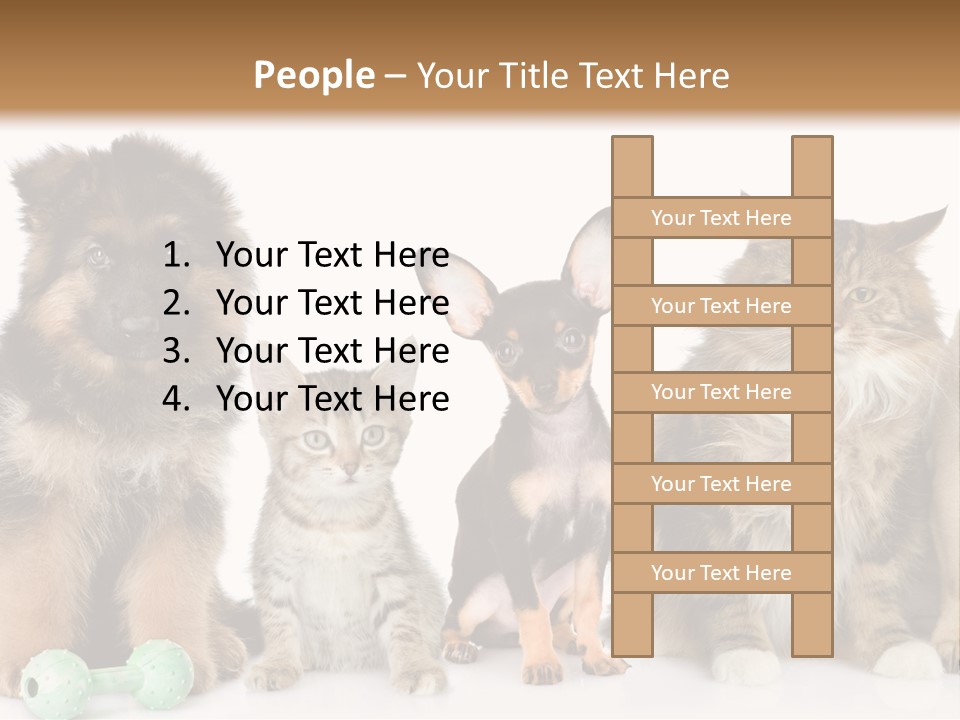 Mops Breed Dog PowerPoint Template