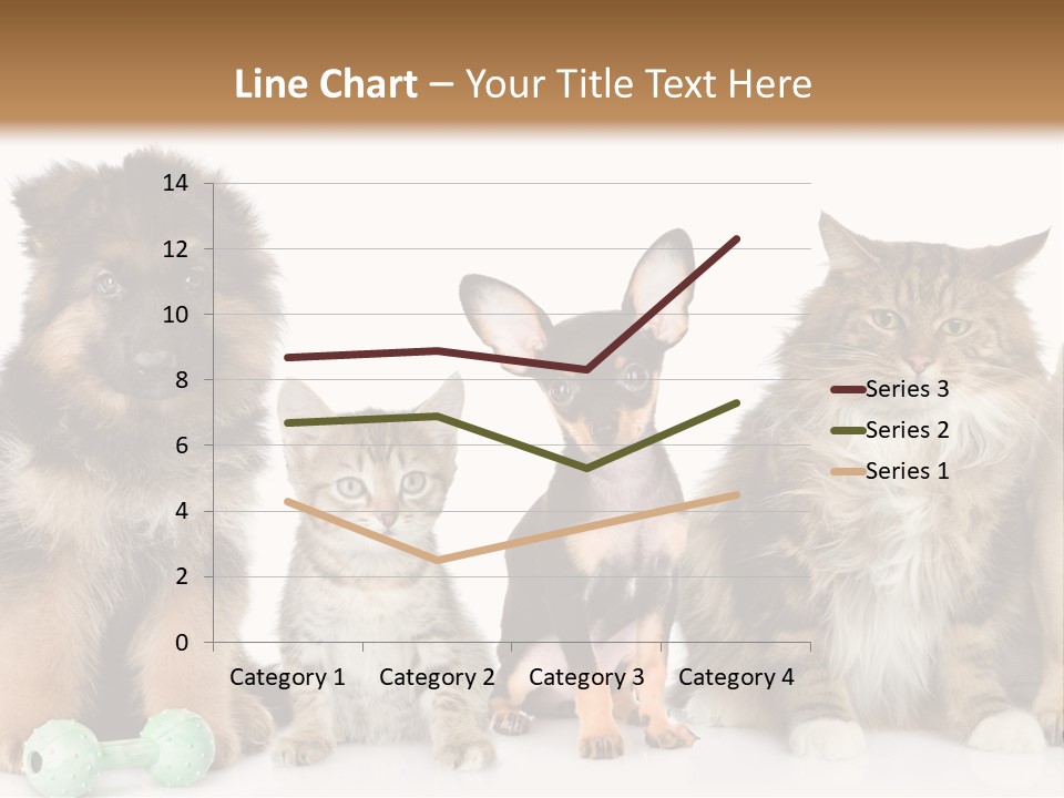 Mops Breed Dog PowerPoint Template