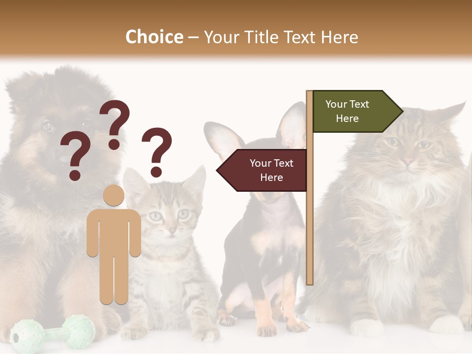 Mops Breed Dog PowerPoint Template