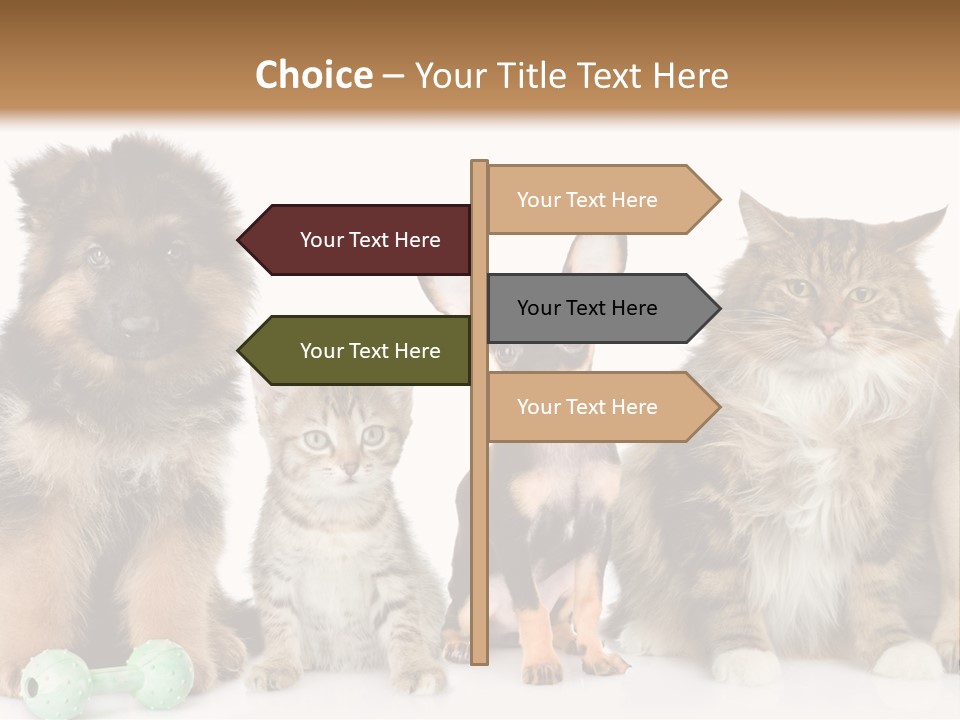 Mops Breed Dog PowerPoint Template