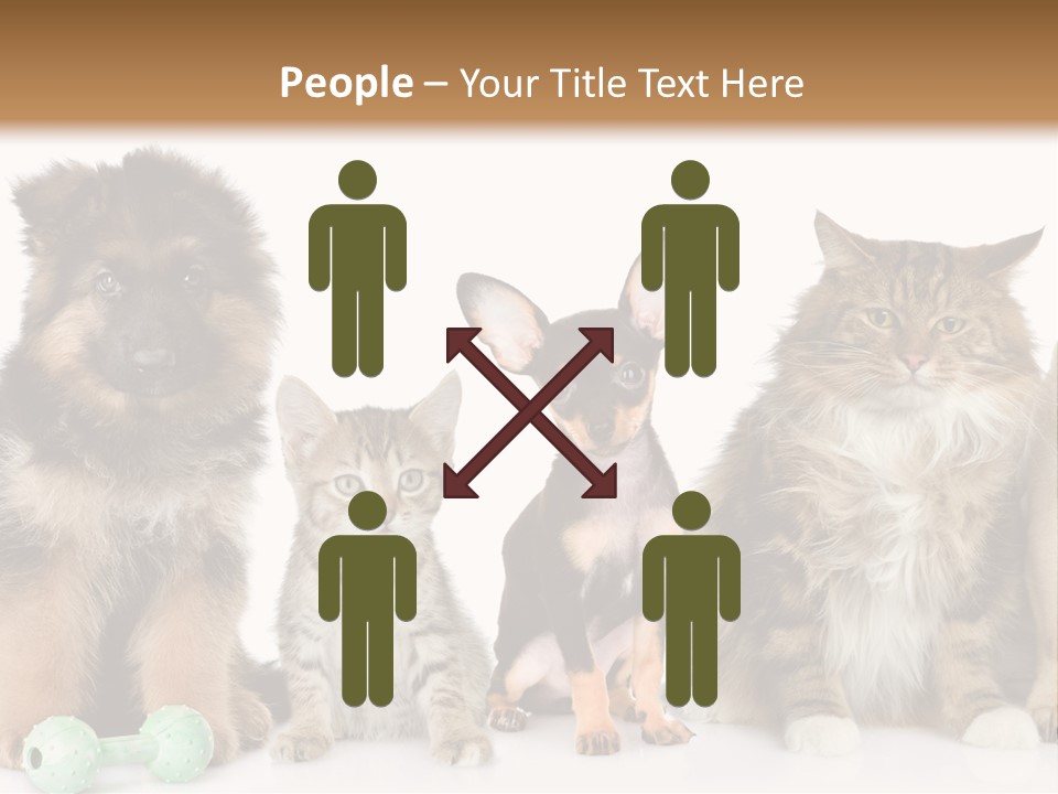 Mops Breed Dog PowerPoint Template