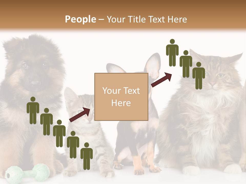 Mops Breed Dog PowerPoint Template