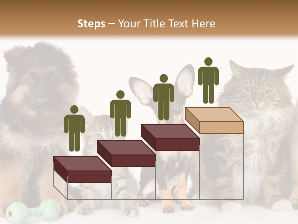 Mops Breed Dog PowerPoint Template