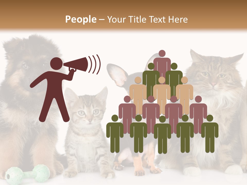 Mops Breed Dog PowerPoint Template