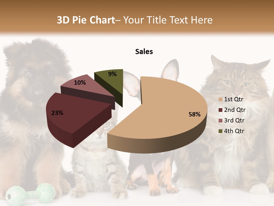 Mops Breed Dog PowerPoint Template