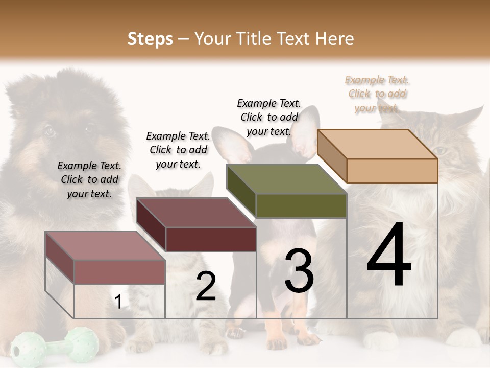 Mops Breed Dog PowerPoint Template