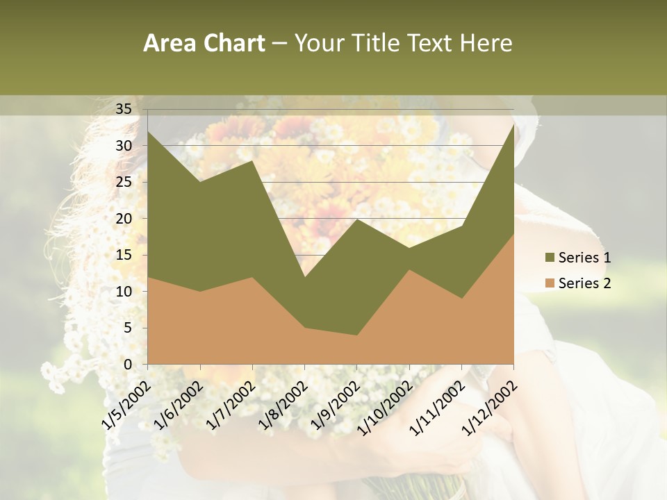 Wedding Giving Baby PowerPoint Template
