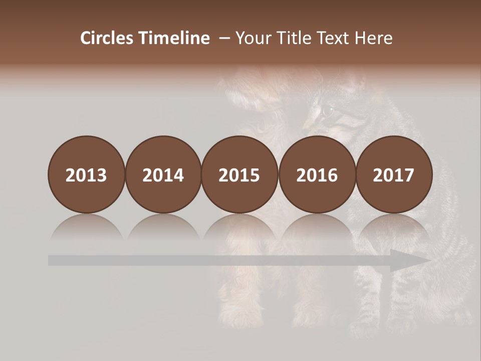 Look Poodle Mix Nature PowerPoint Template