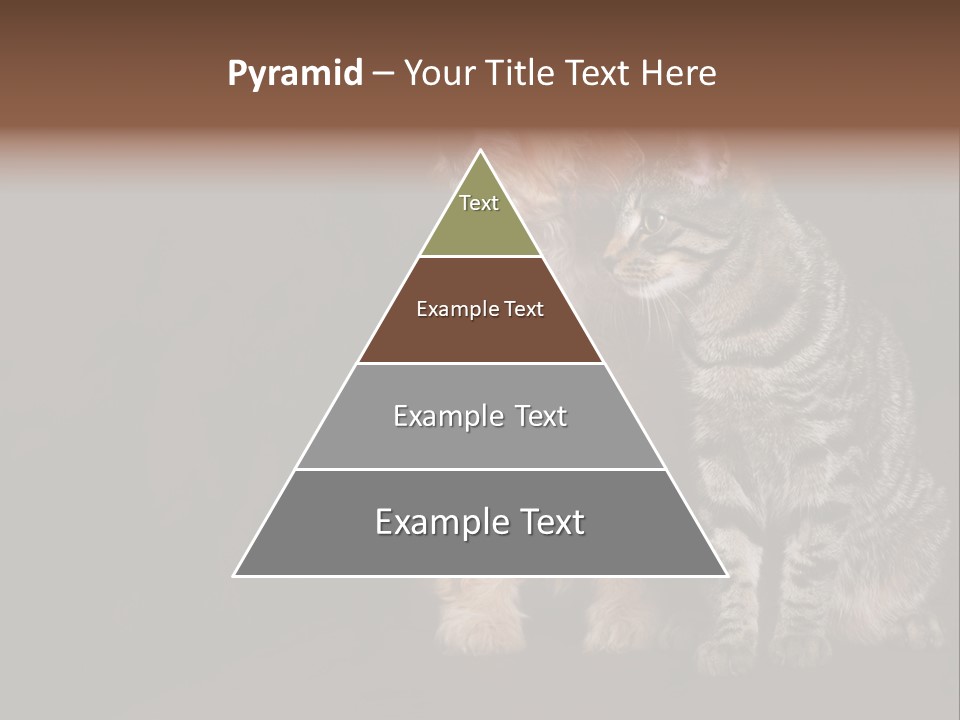 Look Poodle Mix Nature PowerPoint Template