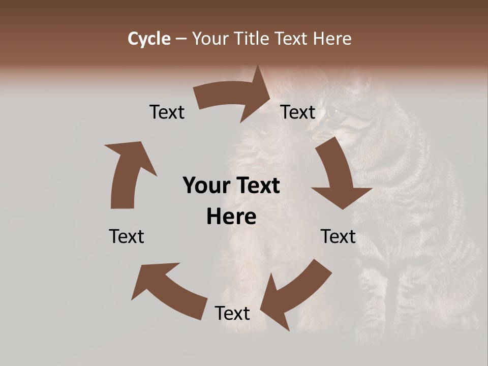 Look Poodle Mix Nature PowerPoint Template