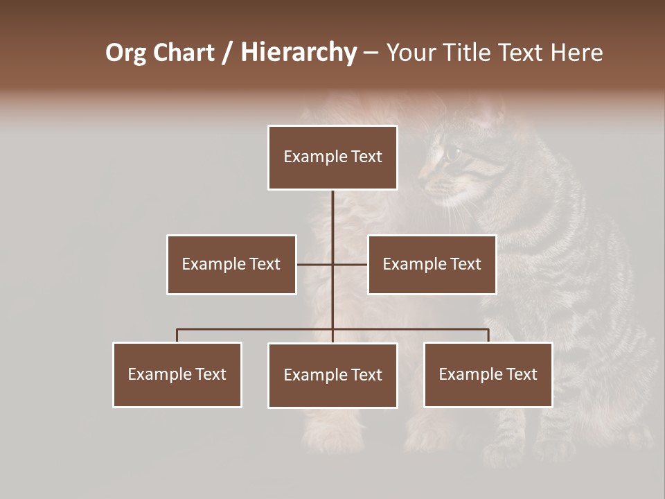 Look Poodle Mix Nature PowerPoint Template