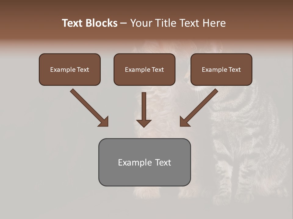 Look Poodle Mix Nature PowerPoint Template