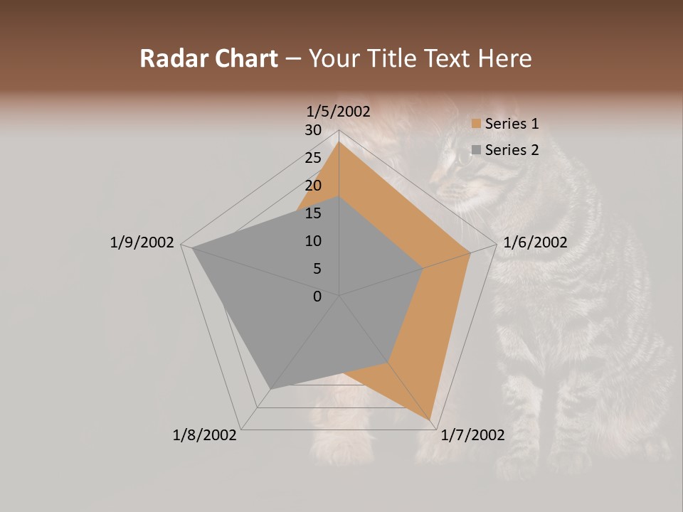 Look Poodle Mix Nature PowerPoint Template