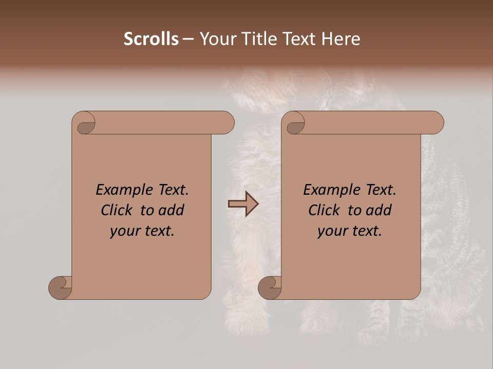 Look Poodle Mix Nature PowerPoint Template