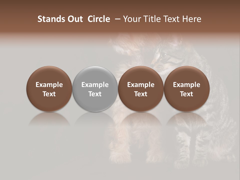 Look Poodle Mix Nature PowerPoint Template