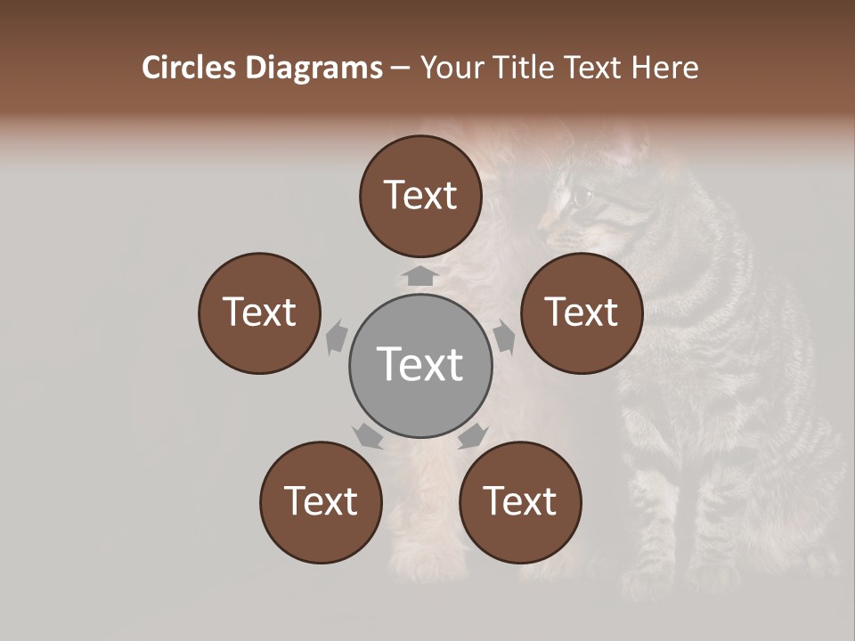 Look Poodle Mix Nature PowerPoint Template