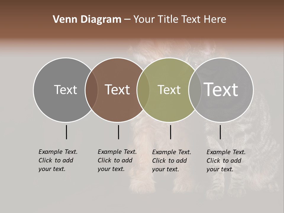 Look Poodle Mix Nature PowerPoint Template