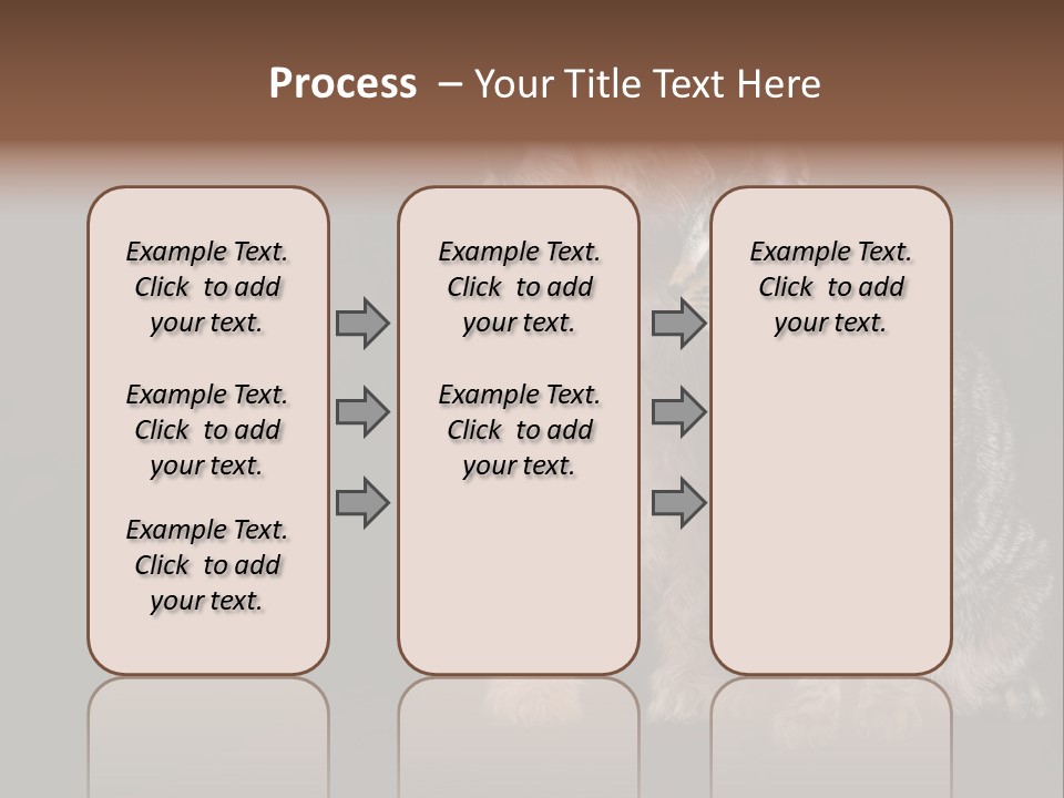 Look Poodle Mix Nature PowerPoint Template